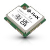 RAK3172-T with TCXO STM32WLE5 Module for LoRaWAN