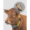 HKT GAT-100 LoRaWAN Animal GPS Tracker EU868